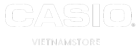 CASIO VINTAGE